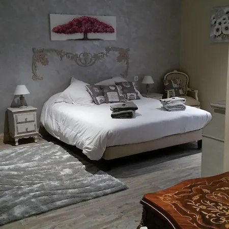 Oda ve Kahvaltı Domaine Christanna Lisle-sur-Tarn