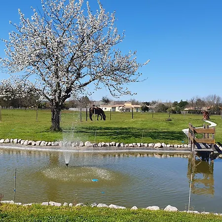 Domaine Christanna ベッド・アンド・ブレックファスト Lisle-sur-Tarn