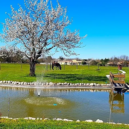 Domaine Christanna Bed & Breakfast Lisle-sur-Tarn
