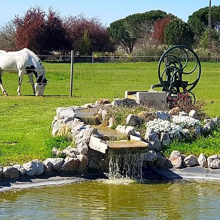 Domaine Christanna 4* Lisle-sur-Tarn